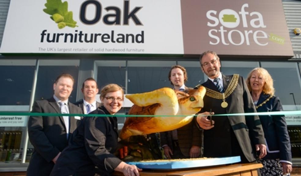 Oak furniture deals land jensen